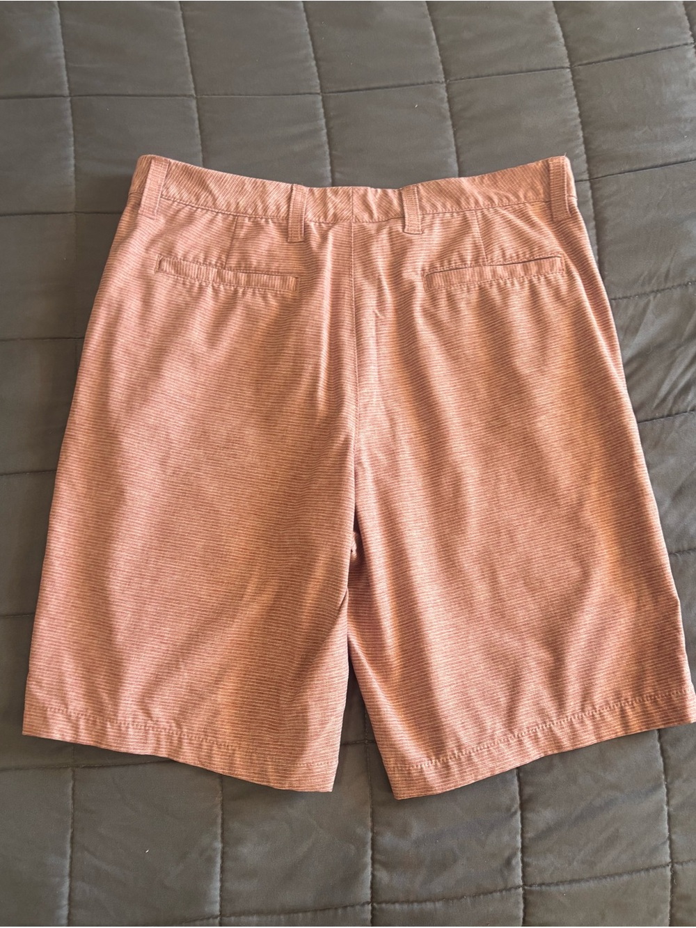 Men's George Rust Performance Walkshorts - Picture 3 of 4